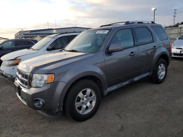 2011 Ford Escape Limited