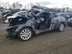 Salvage cars for sale at Spartanburg, SC auction: 2010 Honda Accord EXL