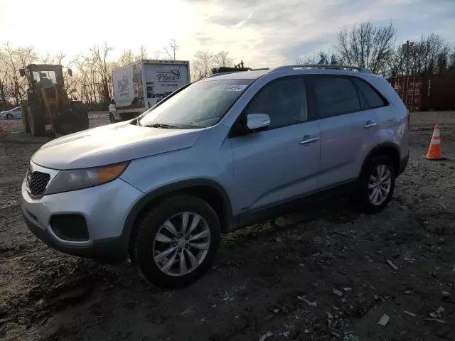 2011 KIA Sorento Base