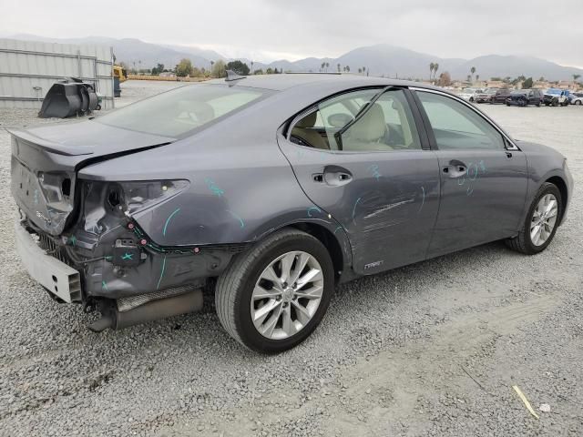 2014 Lexus ES 300H