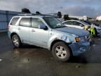 2008 Ford Escape HEV