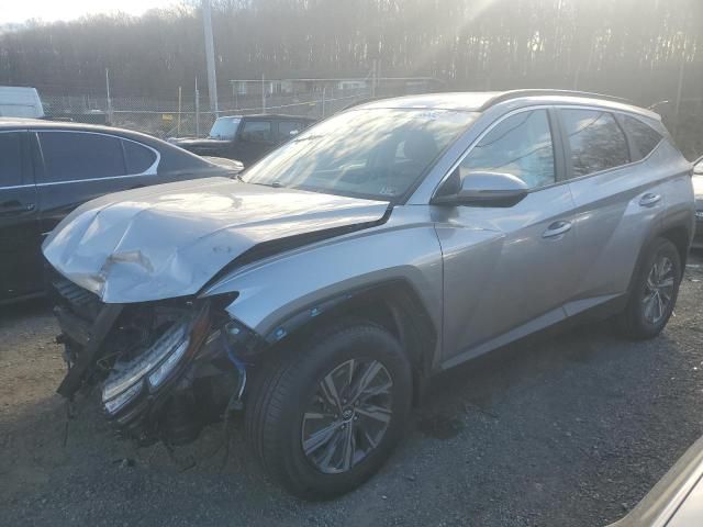 2022 Hyundai Tucson Blue