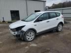 2014 Ford Escape S