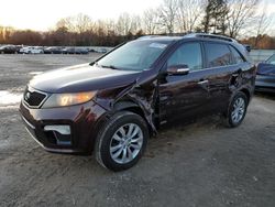 Lots with Bids for sale at auction: 2011 KIA Sorento SX