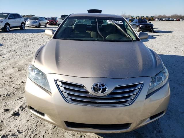 2009 Toyota Camry Hybrid