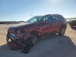 Salvage cars for sale at Andrews, TX auction: 2024 Toyota Rav4 XLE