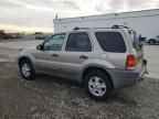 2001 Ford Escape XLT