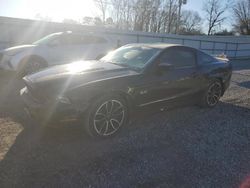 Salvage cars for sale at Gastonia, NC auction: 2014 Ford Mustang GT