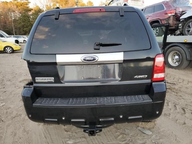 2008 Ford Escape Limited