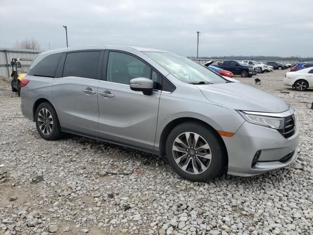 2023 Honda Odyssey EXL