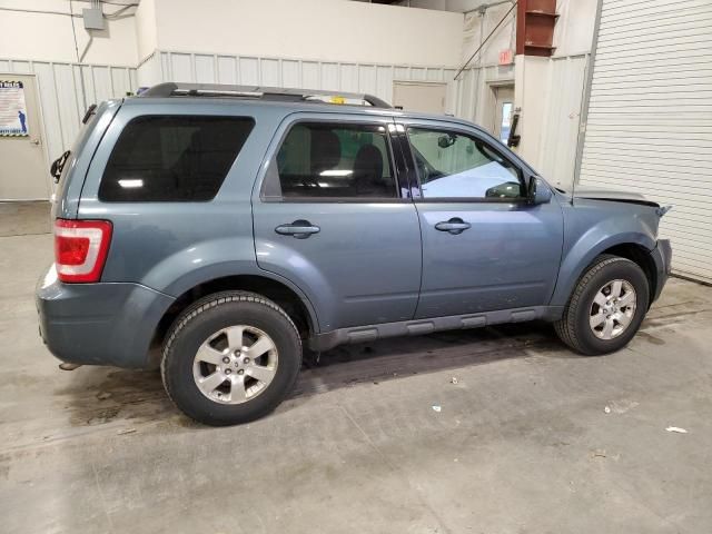 2011 Ford Escape Limited