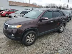 Salvage cars for sale at Columbus, OH auction: 2013 KIA Sorento LX