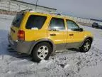 2002 Ford Escape XLT