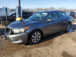 Honda Accord exl salvage cars for sale: 2010 Honda Accord EXL