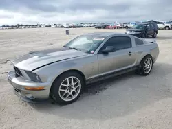 Salvage cars for sale at Arcadia, FL auction: 2009 Ford Mustang Shelby GT500