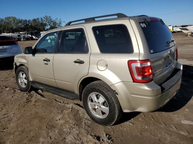 2012 Ford Escape XLT