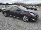 2013 Hyundai Sonata Hybrid