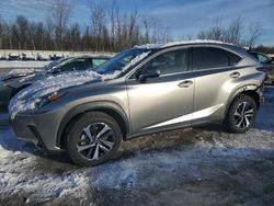 2021 Lexus NX 300 Base en venta en Leroy, NY