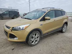 Salvage cars for sale at Bismarck, ND auction: 2014 Ford Escape Titanium