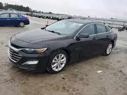 Salvage cars for sale at Harleyville, SC auction: 2019 Chevrolet Malibu LT