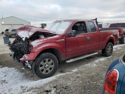 Salvage cars for sale at Cicero, IN auction: 2013 Ford F150 Super Cab