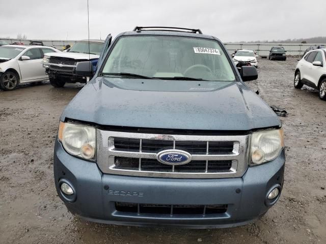 2011 Ford Escape XLT