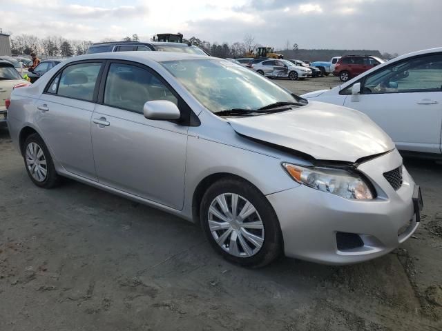 2010 Toyota Corolla Base