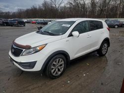 Salvage cars for sale at Ellwood City, PA auction: 2014 KIA Sportage LX