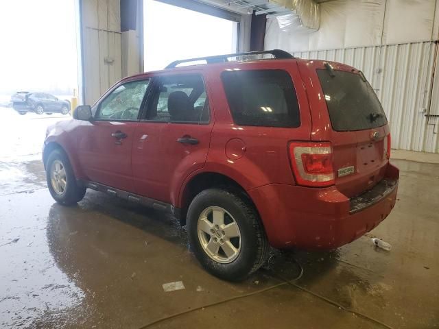 2010 Ford Escape XLT