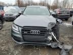 2016 Audi SQ5 Premium Plus