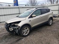 Salvage cars for sale at Walton, KY auction: 2018 Ford Escape SEL