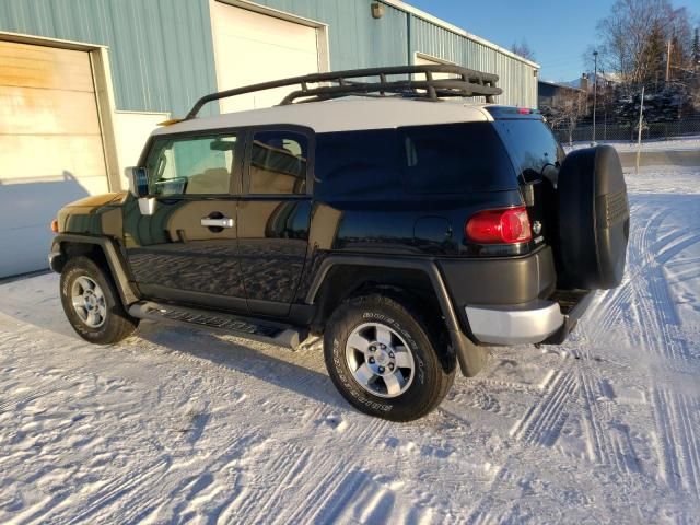 2010 Toyota FJ Cruiser