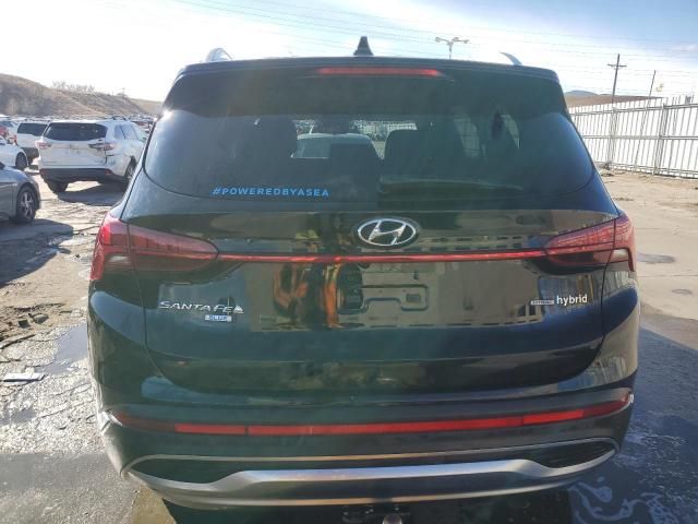 2022 Hyundai Santa FE Blue