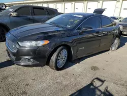 Salvage cars for sale at Louisville, KY auction: 2014 Ford Fusion SE Hybrid