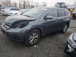 Salvage cars for sale at Baltimore, MD auction: 2013 Honda CR-V EX