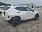 2024 Lexus NX 250 Premium