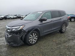 Honda Pilot salvage cars for sale: 2019 Honda Pilot EXL