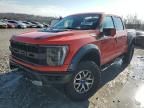 2023 Ford F150 Raptor