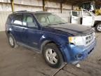 2008 Ford Escape XLT