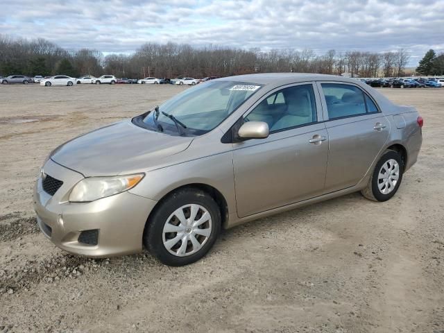 2009 Toyota Corolla Base