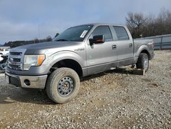 Salvage cars for sale from Copart Chicago: 2013 Ford F150 Supercrew