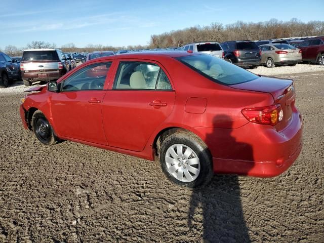 2010 Toyota Corolla Base