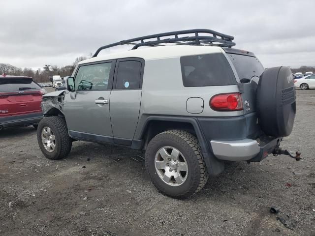 2010 Toyota FJ Cruiser