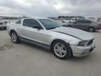 2010 Ford Mustang