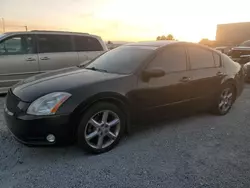 Nissan salvage cars for sale: 2005 Nissan Maxima SE