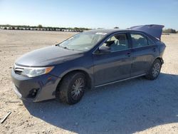 Salvage cars for sale at San Antonio, TX auction: 2014 Toyota Camry L