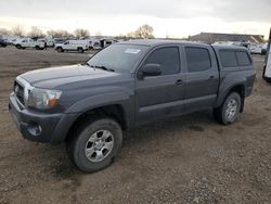 Salvage cars for sale at Billings, MT auction: 2011 Toyota Tacoma Double Cab