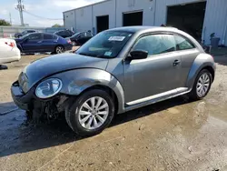 Salvage cars for sale at Jacksonville, FL auction: 2014 Volkswagen Beetle