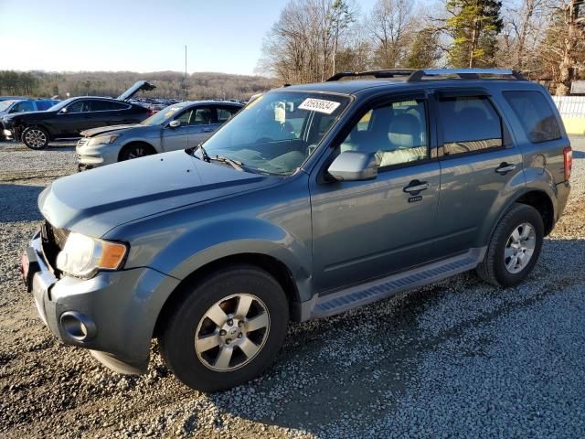 2011 Ford Escape Limited