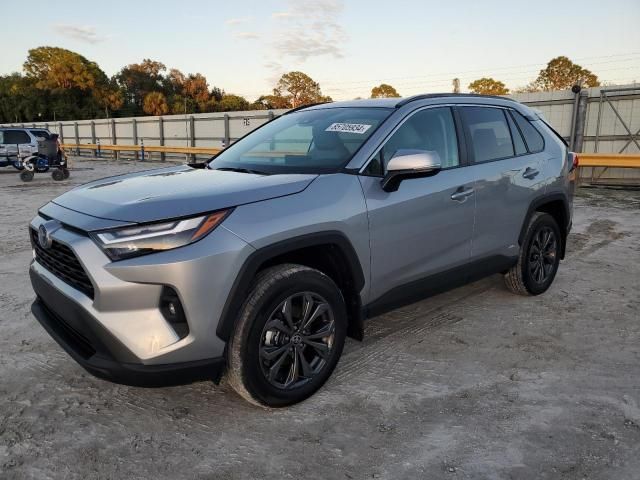 2024 Toyota Rav4 XLE Premium